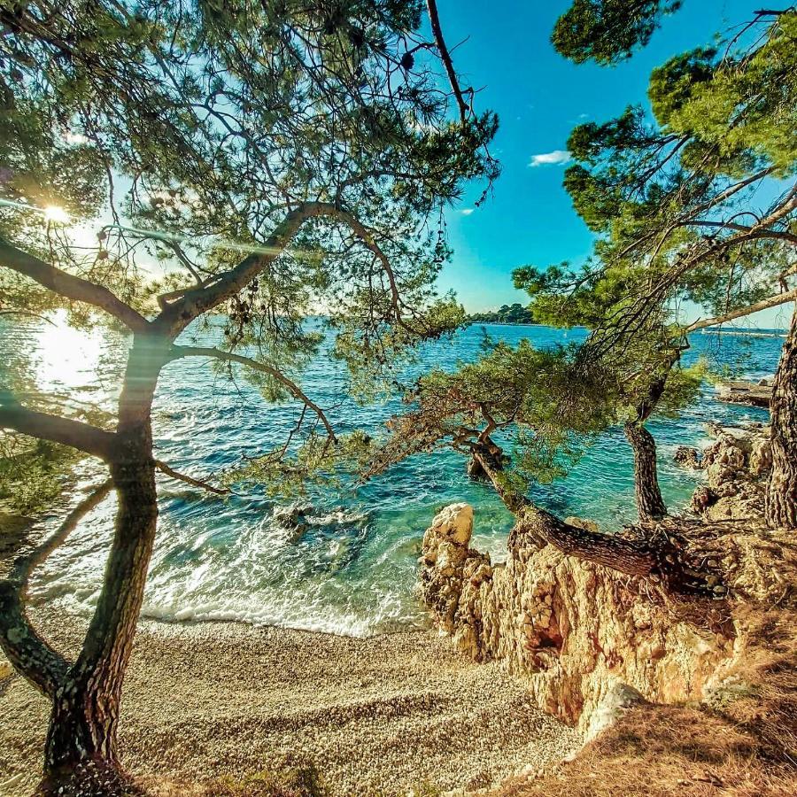 Apartments Villa Ana Poreč Zewnętrze zdjęcie
